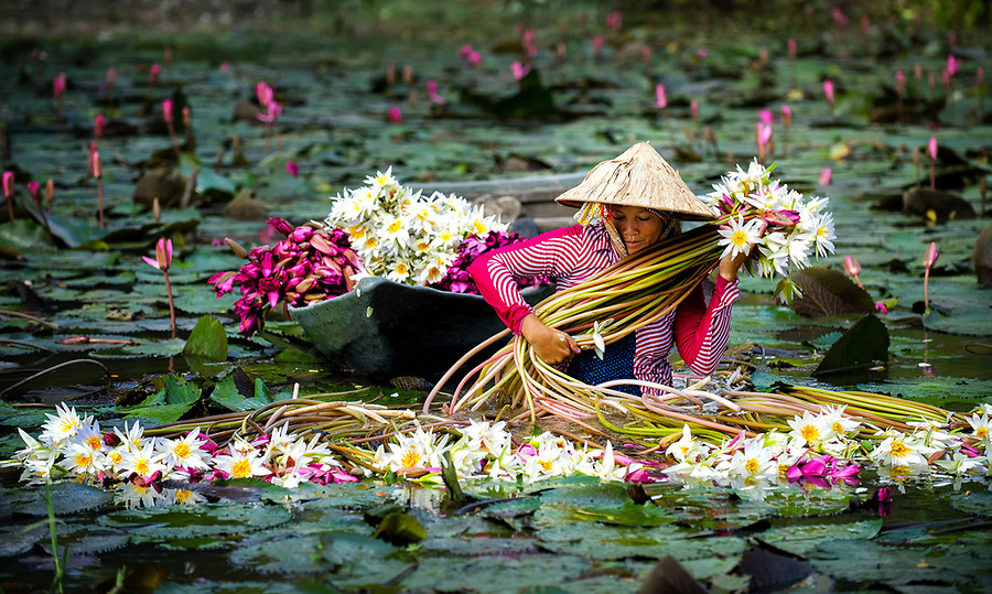 Lịch Sử Cư Dân Nam Bộ